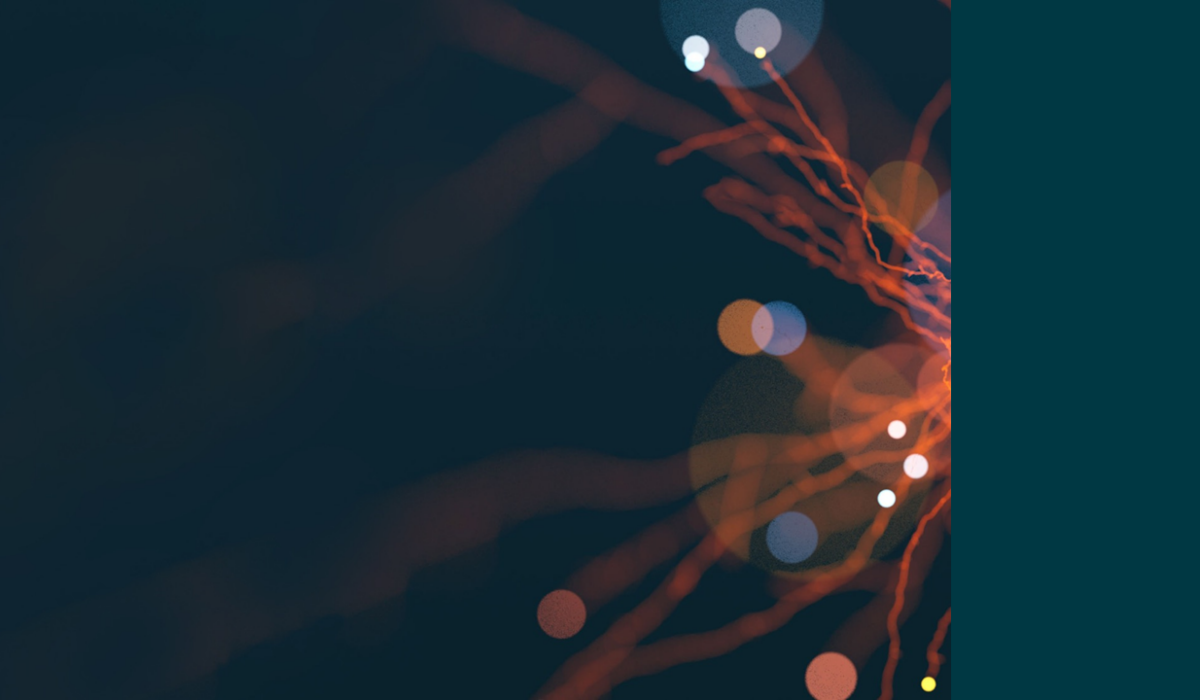 ny header.png