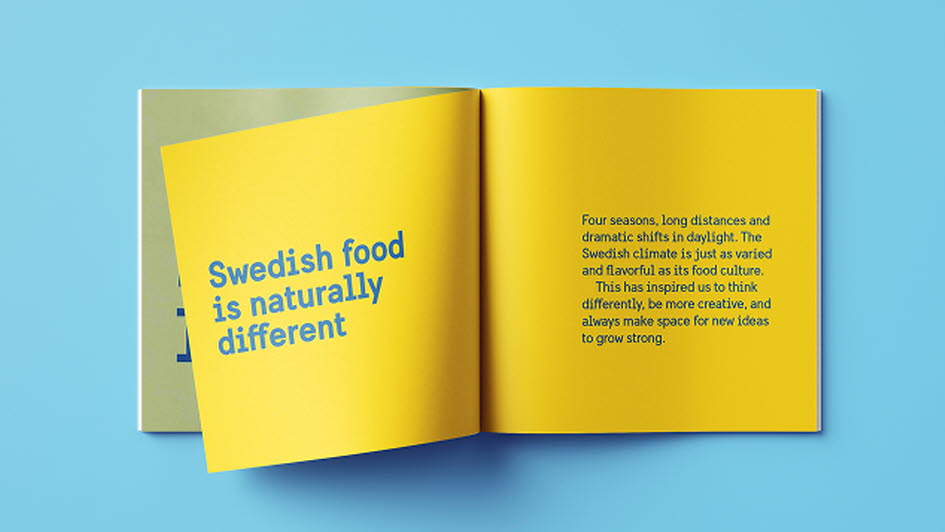 TrySwedish-Brochure