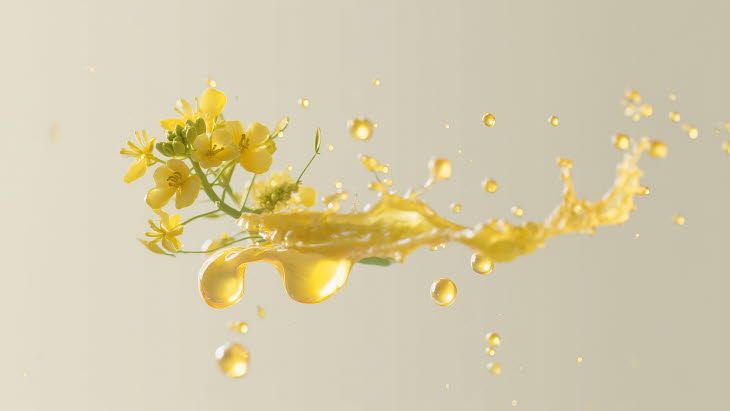 Refinement_Rapeseed_oil
