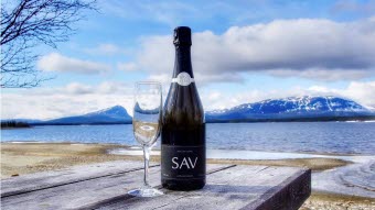 SAV-1