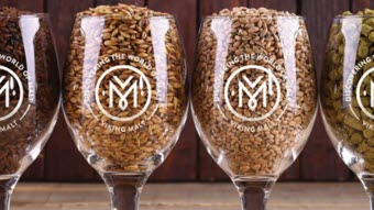 viking malt